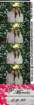 _223246_small.jpg