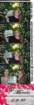 _230348_small.jpg