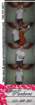 _033211_small.jpg
