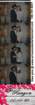 _004344_small.jpg