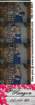 _010129_small.jpg