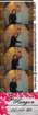_222724_small.jpg