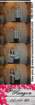_234440_small.jpg
